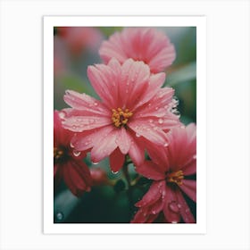 Pink Flowers In The Rain Art Print