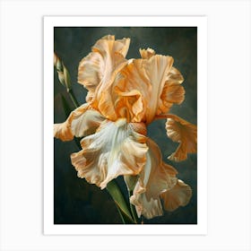 Iris Fl 73 Art Print