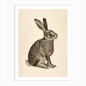 Belgian Hare Blockprint Illustration 9 Art Print