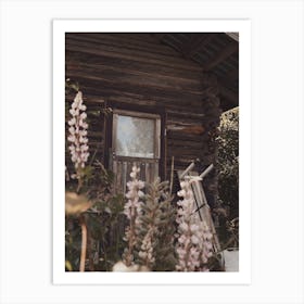 Flowers At Cabin Art Print