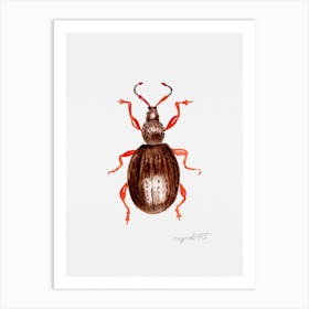 Otiorhynchus ovatus or the strawberry root weevil, watercolor artwork Art Print