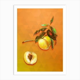 Vintage Yellow Apricot Botanical Art on Tangelo n.0747 Art Print