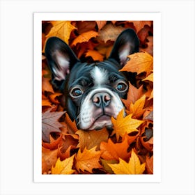 French Bulldog In Autumn Leaves Art Print