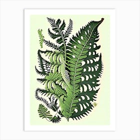 Northern Lady Fern Wildflower Vintage Botanical Art Print