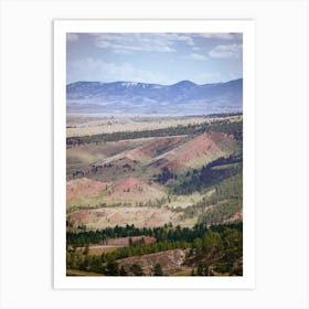 Saguaro National Park Art Print