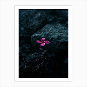 Flower In The Dark 47 Art Print