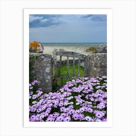 Gate To The Beach Art Print