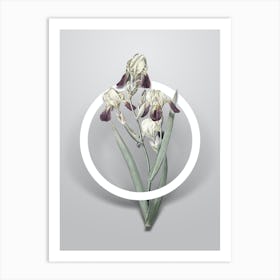Vintage Elder Scented Iris Minimalist Floral Geometric Circle on Soft Gray n.0139 Art Print