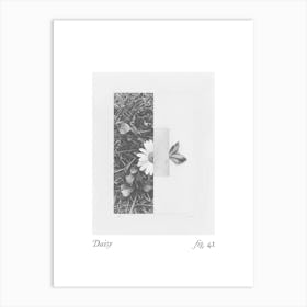 Daisy Botanical Collage 2 Art Print