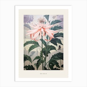 Flower Illustration Bee Balm 3 Poster Art Print