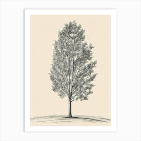 Poplar Tree Minimalistic Drawing 1 Art Print