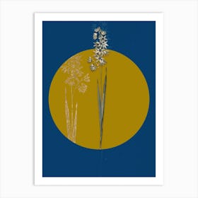 Vintage Botanical Turquoise Ixia on Circle Yellow on Blue Art Print