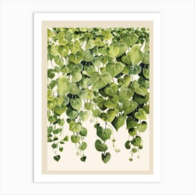 Green Hanging Ivy Art Print