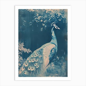 Vintage Cyanotype Inspired Peacock Art Print