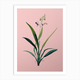 Vintage Flax Lilies Botanical on Soft Pink n.0553 Art Print