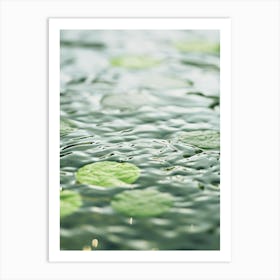 Water Lily Art Print