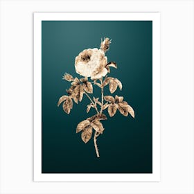 Gold Botanical Provence Rose Bloom on Dark Teal n.2070 Art Print