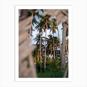Palm trees through a wicker fence Art Print