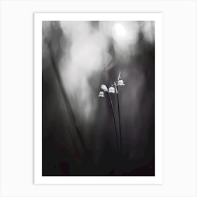 Lily Of The Valley 8 Art Print