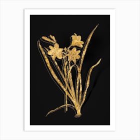 Vintage Daylily Botanical in Gold on Black Art Print