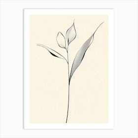 Eucalyptus 2 Art Print