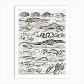 Reptiles, Oliver Goldsmith Art Print