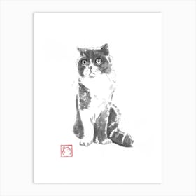 Luna cat Art Print