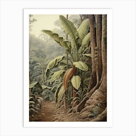 Vintage Jungle Botanical Illustration Banana Plant 1 Art Print