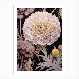 Flower Illustration Scabiosa 3 Art Print