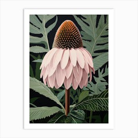 Flower Illustration Coneflower 4 Art Print