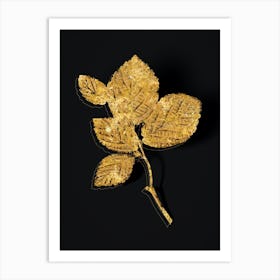 Vintage Witch Hazel Botanical in Gold on Black n.0021 Art Print