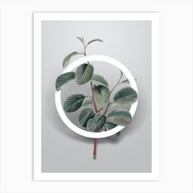 Vintage Alpine Buckthorn Plant Minimalist Botanical Geometric Circle on Soft Gray n.0085 Art Print