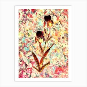 Impressionist Elder Scented Iris Botanical Painting in Blush Pink and Gold n.0002 Art Print