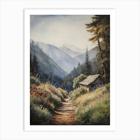 Path In The Mountains Art Print