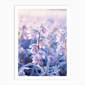 Frosty Botanical Lobelia 1 Art Print