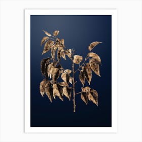 Gold Botanical Common Hackberry on Midnight Navy n.2513 Art Print