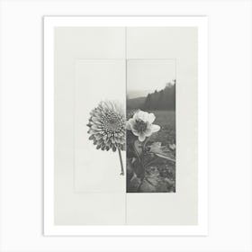 Chrysanthemum Flower Photo Collage 1 Art Print