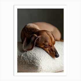 Dachshund Sleeping On A Pillow.Generated AI. Wall Art Print Affiche