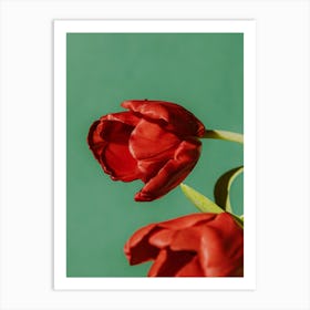 Red Tulips Art Print