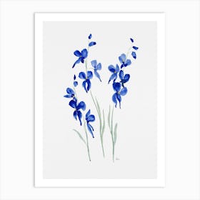 Blue Butterfly Blooms Art Print