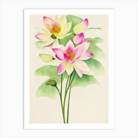 Lotus Vintage Flowers Flower Poster