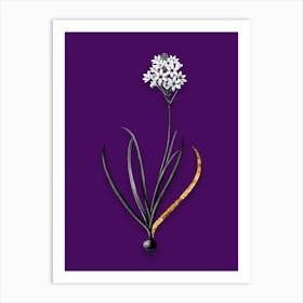 Vintage Arabian Starflower Black and White Gold Leaf Floral Art on Deep Violet n.0737 Art Print