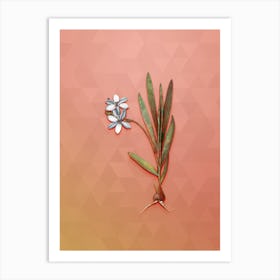 Vintage Gladiolus Plicatus Botanical Art on Peach Pink n.0179 Art Print