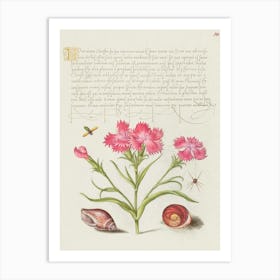 Insect, Sweet William, Spider, Marine Mollusk, And Eye Of Santa Lucia From Mira Calligraphiae Monumenta, Joris Hoefnagel Art Print