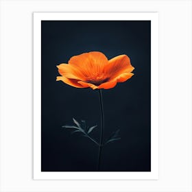 Orange Poppy Flower Art Print