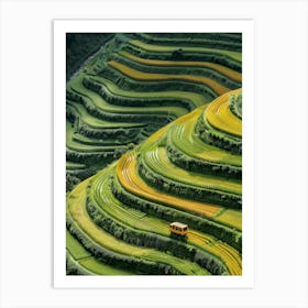 Rice Terraces In Vietnam 1 Art Print