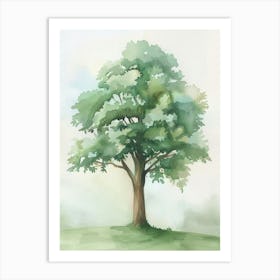 Mahogany Tree Atmospheric Watercolour Painting 7 Art Print