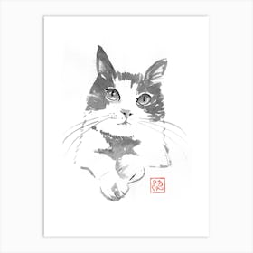 chat pausé Art Print