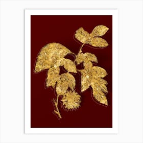 Vintage Paper Mulberry Flower Botanical in Gold on Red n.0607 Art Print