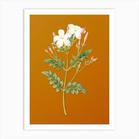 Vintage Spanish Jasmine Botanical on Sunset Orange n.0806 Art Print